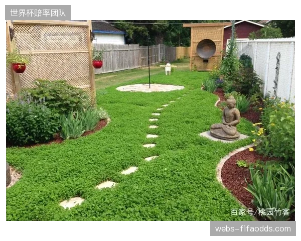 北京国安主场埋设土壤微环境探头延展天然草皮寿命